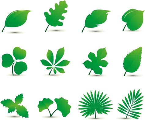 Leaf Vectors & Illustrations for Free Download.